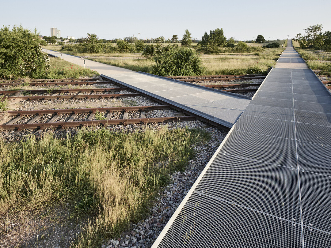 Grnzug Nordost  Weitblick Klimapark