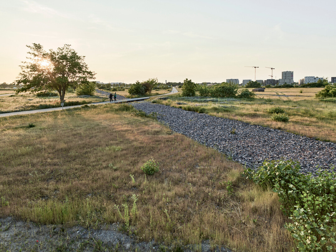 Grnzug Nordost  Weitblick Klimapark