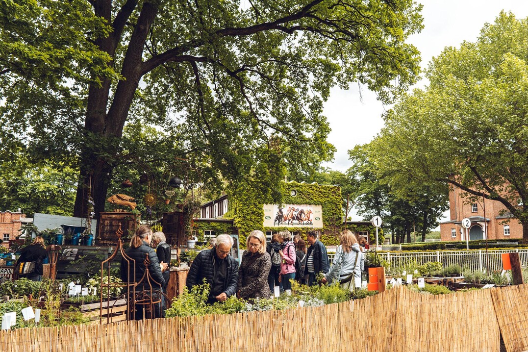 Vom 2. bis 4. Juni 2023 findet die Gartenmesse „Gartenträume für Berlin und Brandenburg“ statt.