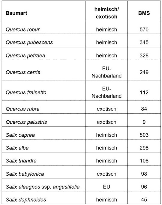 Tab. 4: Anzahl Phytophagen und Ursprungsvorkommen fr Baumarten der Gattungen Quercus und Salix