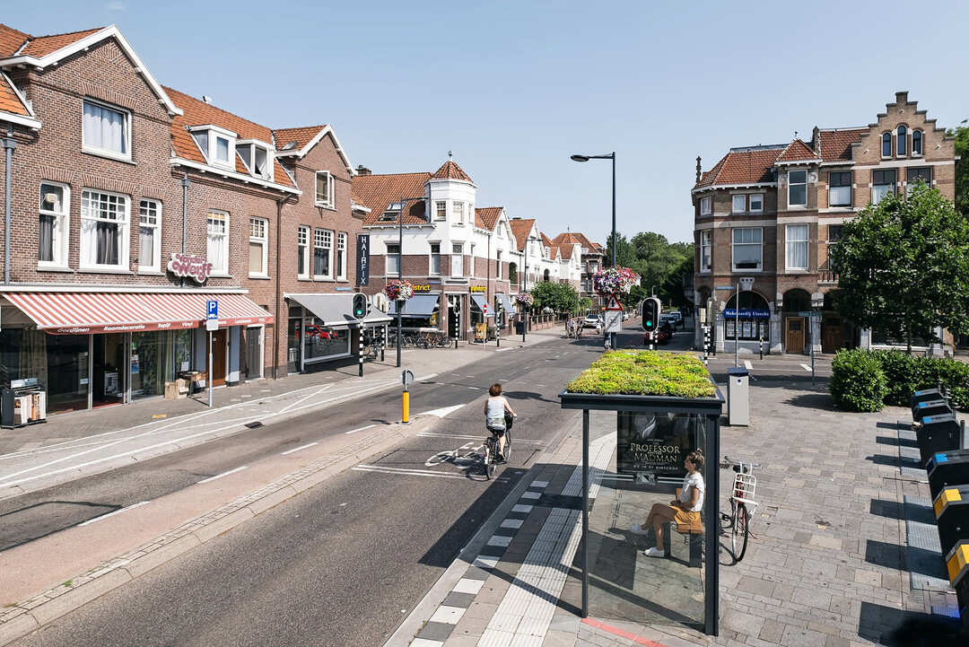 Die niederlndische Fahrradstadt Utrecht strkt auf den Dchern der Buswartehuschen die innerstdtische Artenvielfalt.