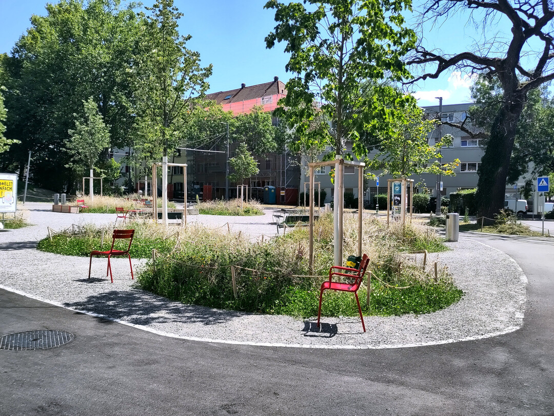 Mehr Platz für Grün und Menschen: Holligerhof