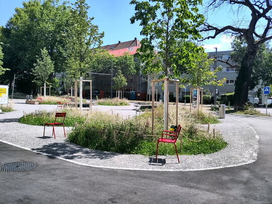 Mehr Platz fr Grn und Menschen: Holligerhof