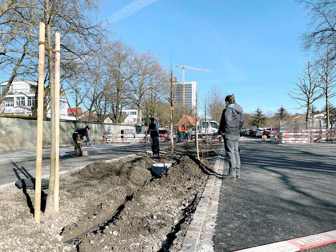 Die Schwammstadt funktioniert im Untergrund: Bodensensoren, Datenloggger, Berner Baumsubstrat und Wurzelrohre sollen die besten Bedingungen fr ein langes Baumleben erforschen.