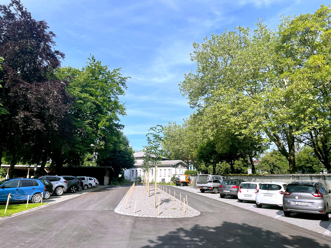 Der ehemals voll versiegelte Parkplatz am Schosshaldenfriedhof berzeugt nach dem Umbau mit Rasenlinern, Sickerasphalt und Bumen in Skelettbodenbauweise.