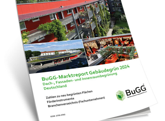 Marktreport Gebudegrn 2024