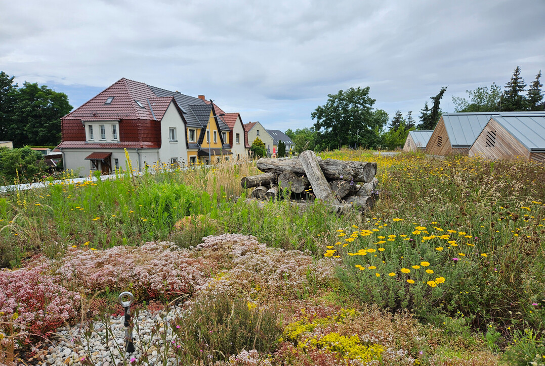 Strukturelemente aus Totholz und Steinen bieten Nist- und Versteckmglichkeiten fr Kleintiere.