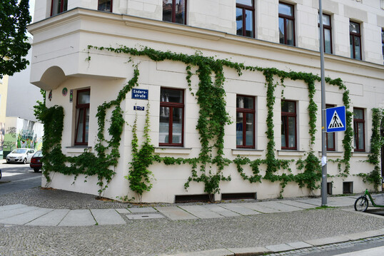 Kahle Wand oder begrnte Fassade? Mit Pflanzen erhlt jedes Gebude seine individuelle Note.