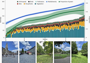 Die Abbildung zeigt die Biodiversitt und Variabilitt auf ffentliche Pltzen in Mnchen