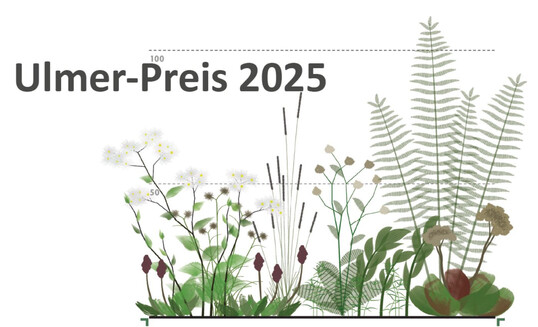 Neuartige Pflanzengemeinschaften fr Verdunstungsbeete, Leonard R. He, Preistrger Ulmer-Preis 2023