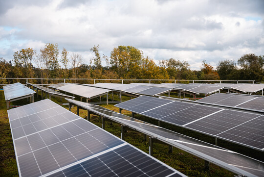 Im Gründachsystem ist eine Solaraufständerung integriert, auf der die Photovoltaikmodule befestigt werden.