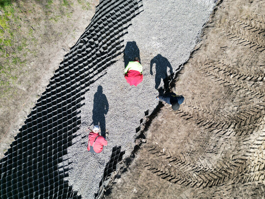 Wurzelschutz mit TERRAM Geozellen
