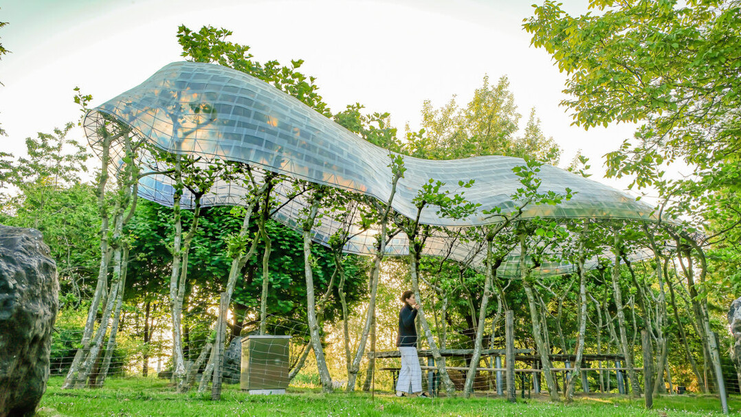 Experimentelles baubotanisches Bauwerk, TUM in Fresing-Weihenstephan
