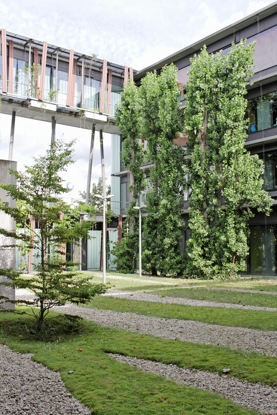 Institut für Physik – Humboldt Universität, Berlin-Adlershof (Augustin + Frank, Architekten
mit Joerg Th. Coqui, Landschaftsarchitekt, COQUI MALACHOWSKA COQUI Städtebau Landschaftsarchitektur), LP 4-9