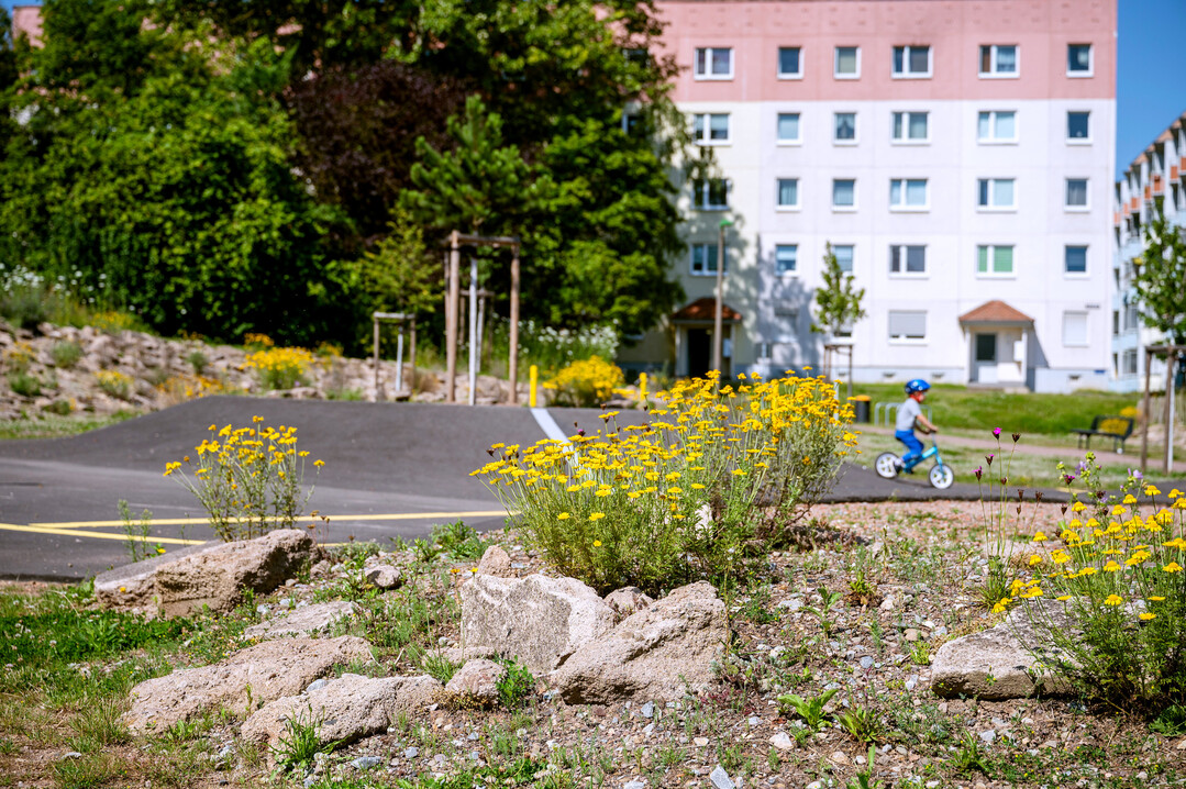 Die Bschungen sind mit Betonabbruch und Schotter robust angelegt, die pflegeleichte, naturnahe Pflanzung vertrgt auch mal ein Laufrad oder Fuball.
