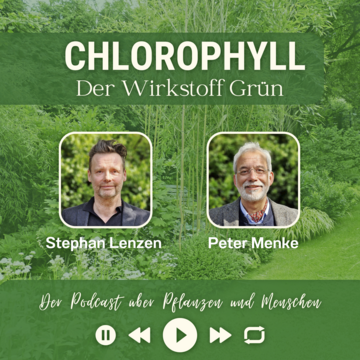 #47: Chlorophyll