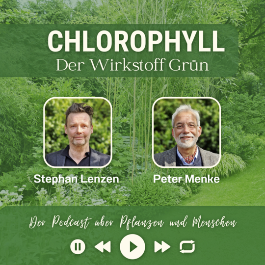 #47: Chlorophyll