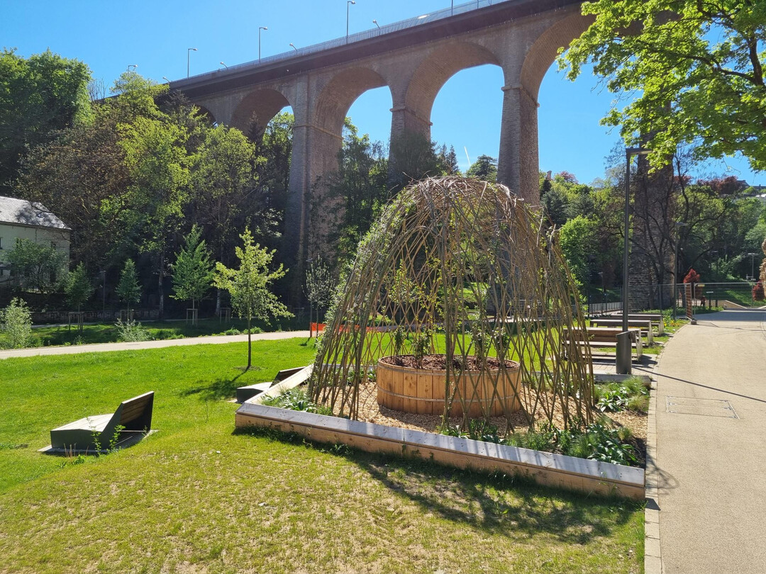 Urbane Grten im Petruss-Tal: Jardin Partage von Julie Chirol