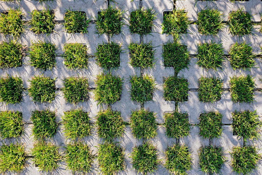 GDM.GREEN setzt grne Flchen in den Fokus  fr maximale Verdunstung und visuelle Wirkung.