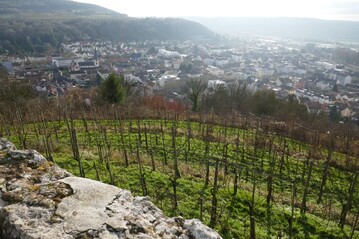 Merzig, bisher hauptschlich bekannt durch die "Saarschleife" will die erste Landesgartenschau im Saarland ausrichten.