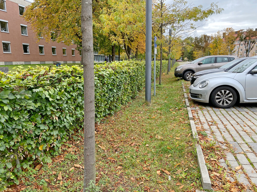 Eine Kombination aus begrnten Fugen und angrenzenden bepflanzten Senken entwssern diesen Parkplatz im niederbayerischen Landshut.
