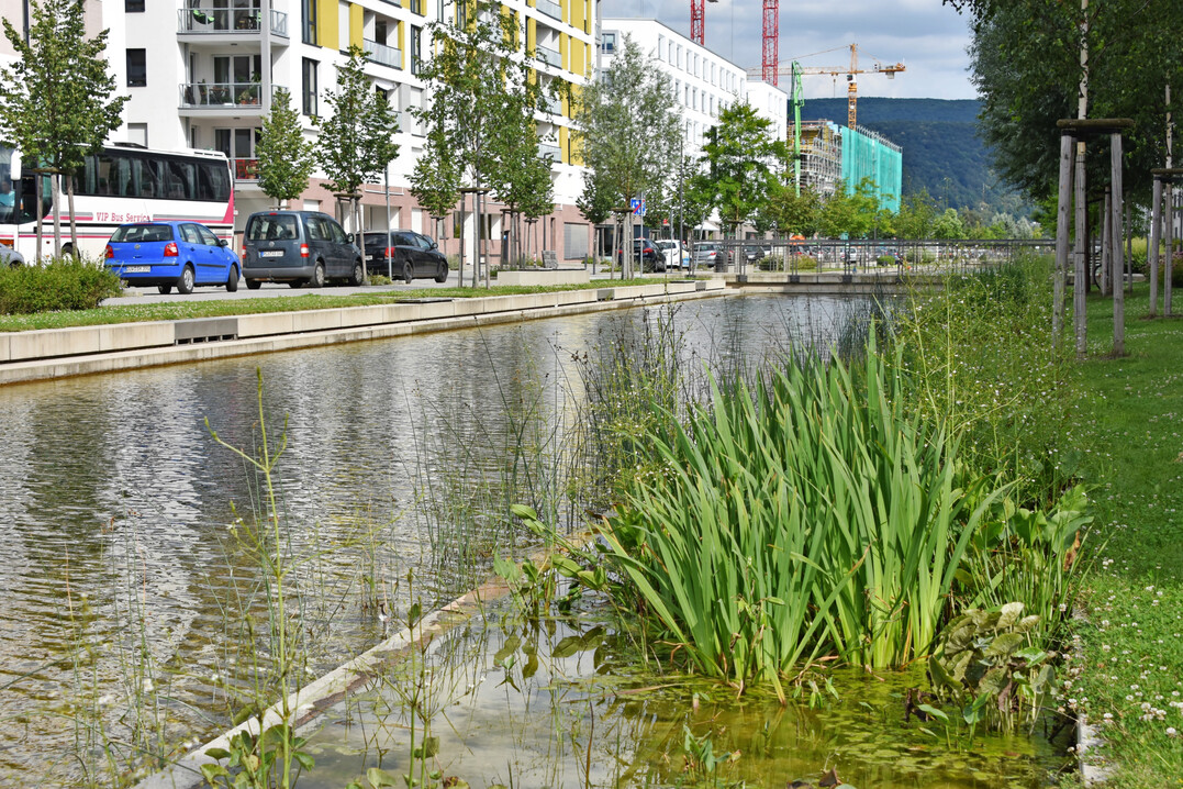 In der Bahnstadt Heidelberg dienen Kanle der Retention und sind zugleich attraktive Gestaltungselemente.