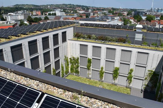 Mit Blick auf den Klimawandel und seinen Folgen ist die Gebäudebegrünung ein unverzichtbarer Bestandteil bei Bestands- und Neubauten.