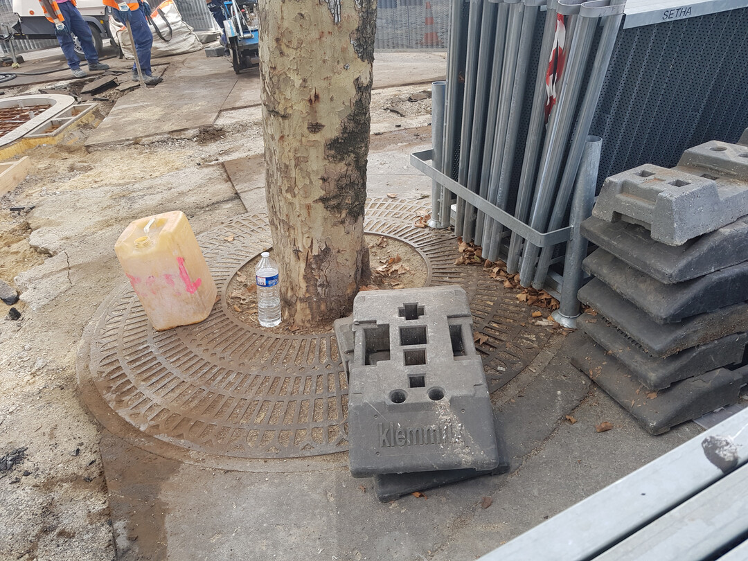 Fehlender Baumschutz auf Baustellen ist leider noch sehr hufig.