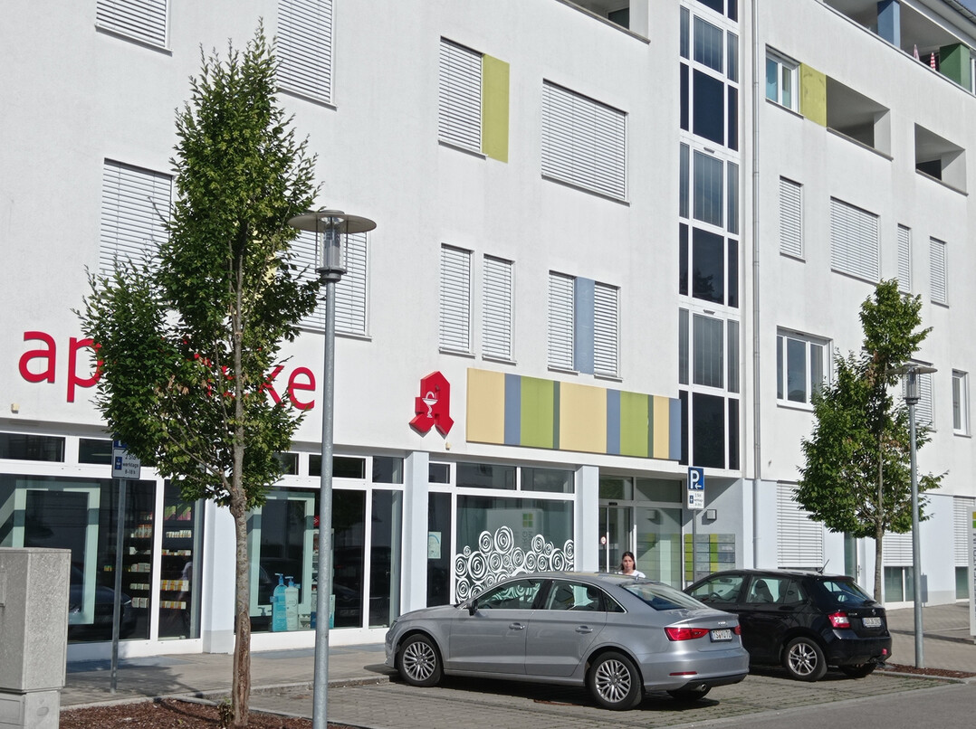 Die Säulenhainbuchen hatten von Anfang an keine Chance. Traurig ...