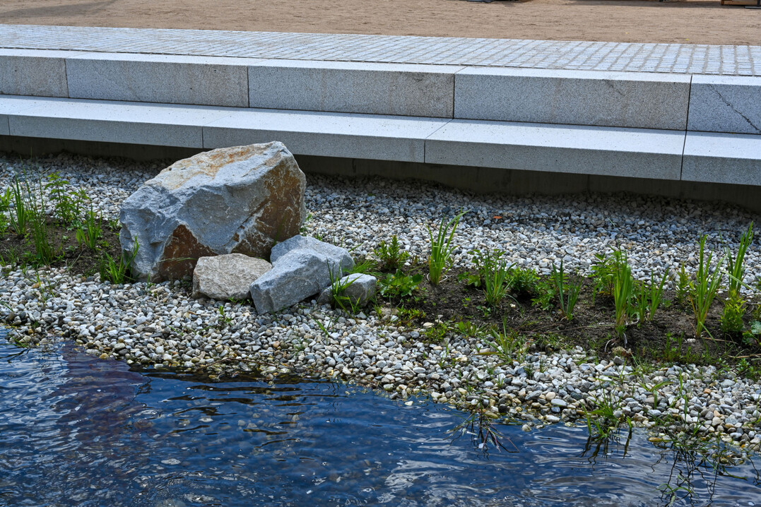 Flache Uferzonen: stdtisch, aber dennoch naturnah. 