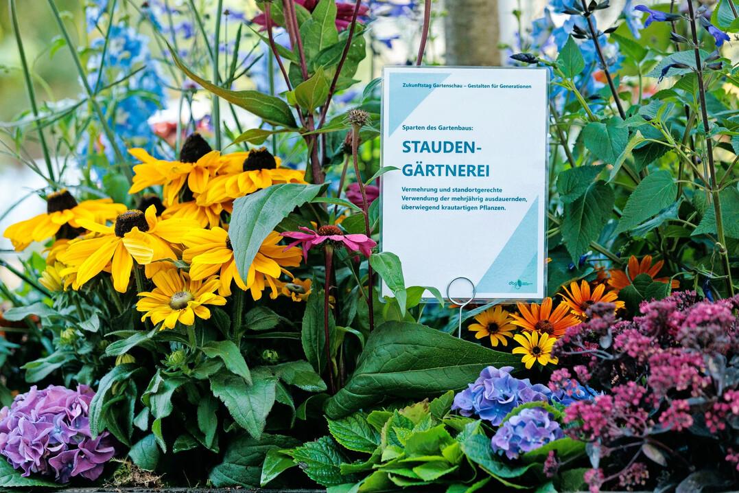 Der Zukunftstag Gartenschau fand am 11. September 2025 im Berliner Umweltforum statt, tatkrftig untersttzt von Gartenbau, Baumschulen und Floristik.