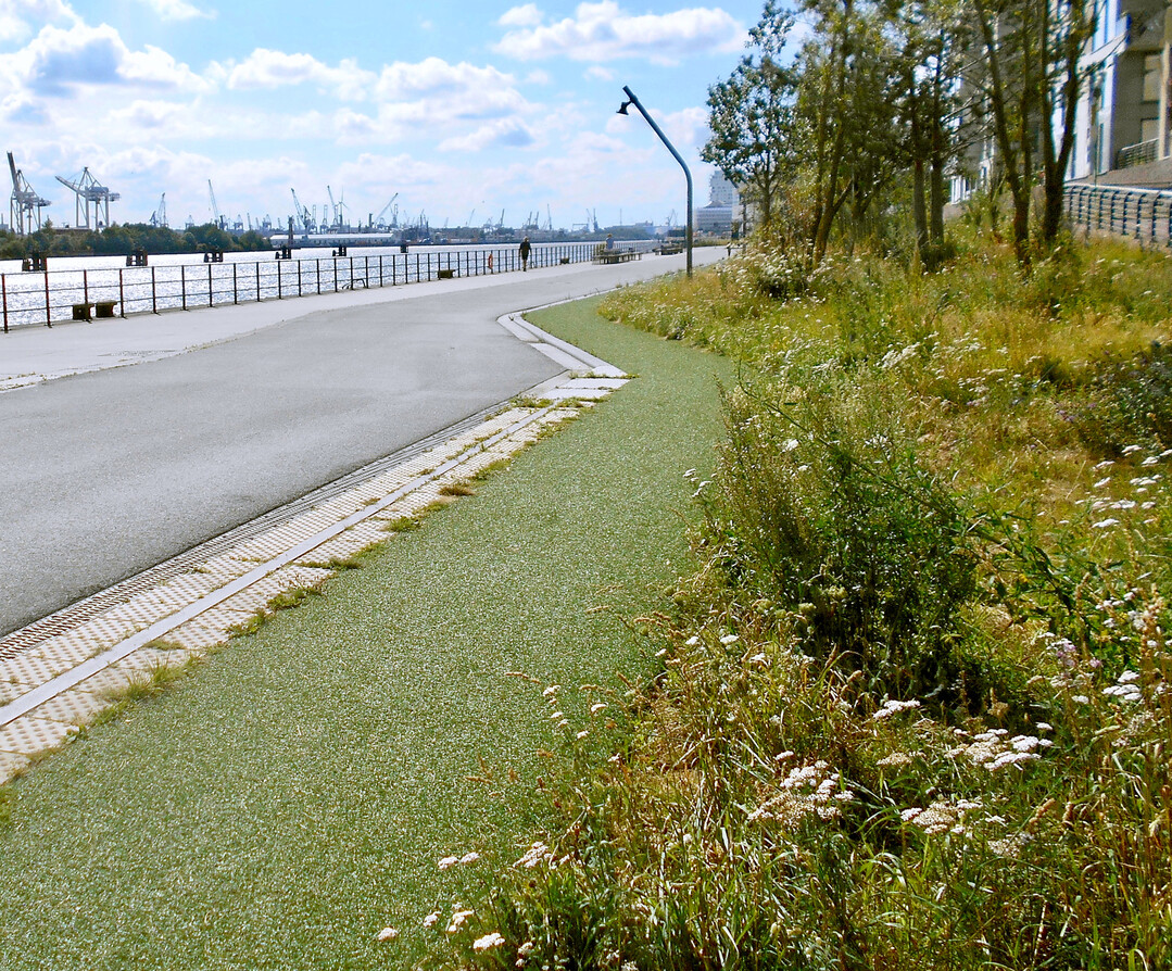 Die Joggingstrecke auf Kunstrasen bildet den bergang zu den Pflanzflchen. 