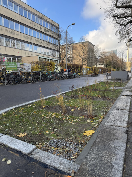 Mit den „Grünen Gullys“ hat Berlin eine einfache und kostengünstige Lösung für das Versickern von Regenwasser entwickelt.
