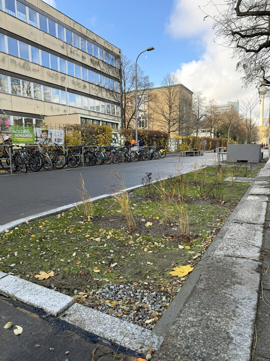 Mit den „Grünen Gullys“ hat Berlin eine einfache und kostengünstige Lösung für das Versickern von Regenwasser entwickelt.