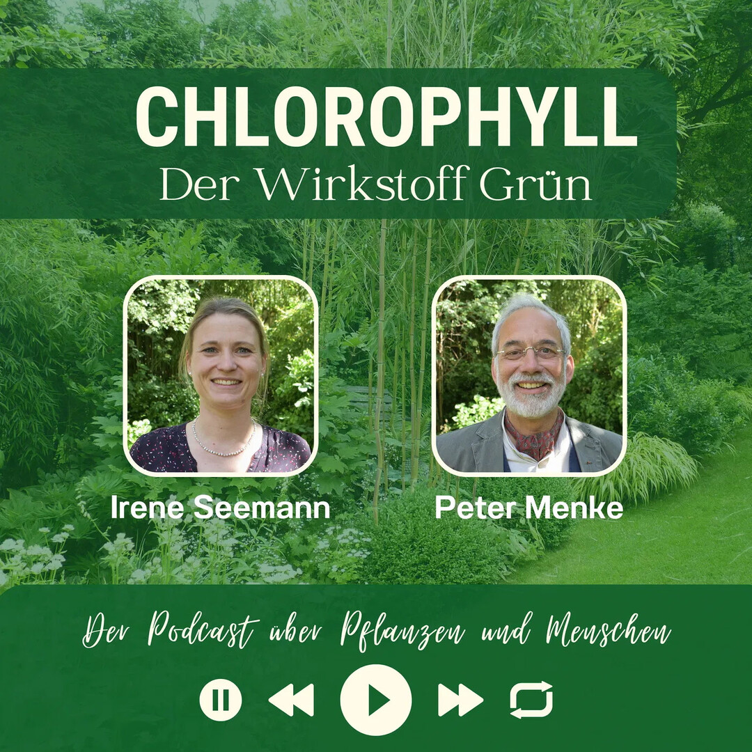 Podcast Chlorphyll, #48 mit Irene Seemann, Geschftsfhrerin von Rebel Deutschland
