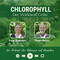 Podcast Chlorphyll, #48 mit Irene Seemann, Geschftsfhrerin von Rebel Deutschland
