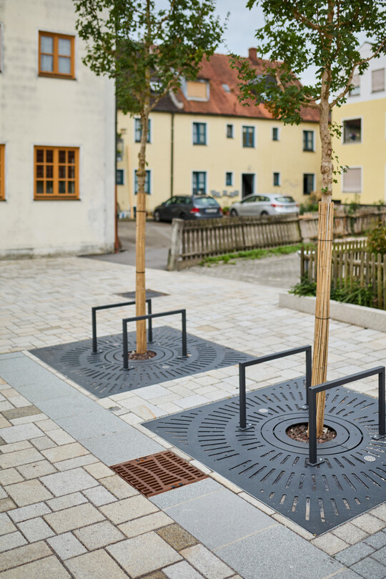 Baumstandorte in Neustadt a.d. Donau: zeitgemäßes Regenwassermanagement verbunden mit nachhaltigem Baumschutz