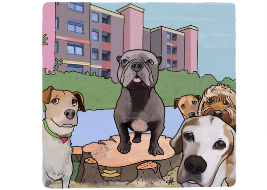 "Sorry Jungs, weil es keine Bäume mehr gibt, müsst Ihr ab jetzt leider im Sitzen pinkeln."