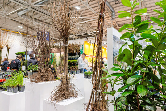 Unter dem Motto Unendlich grne Vielfalt prsentiert die IPM ESSEN vom 28. bis 31. Januar 2026 die gesamte Wertschpfungskette der Branche. 