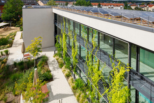 Die kombinierten Pflanzflächen sorgen für angenehm kühle Luft auf der Terrasse und bieten zugleich Sonnen- & Hitzeschutz für das Gebäudeinnere.