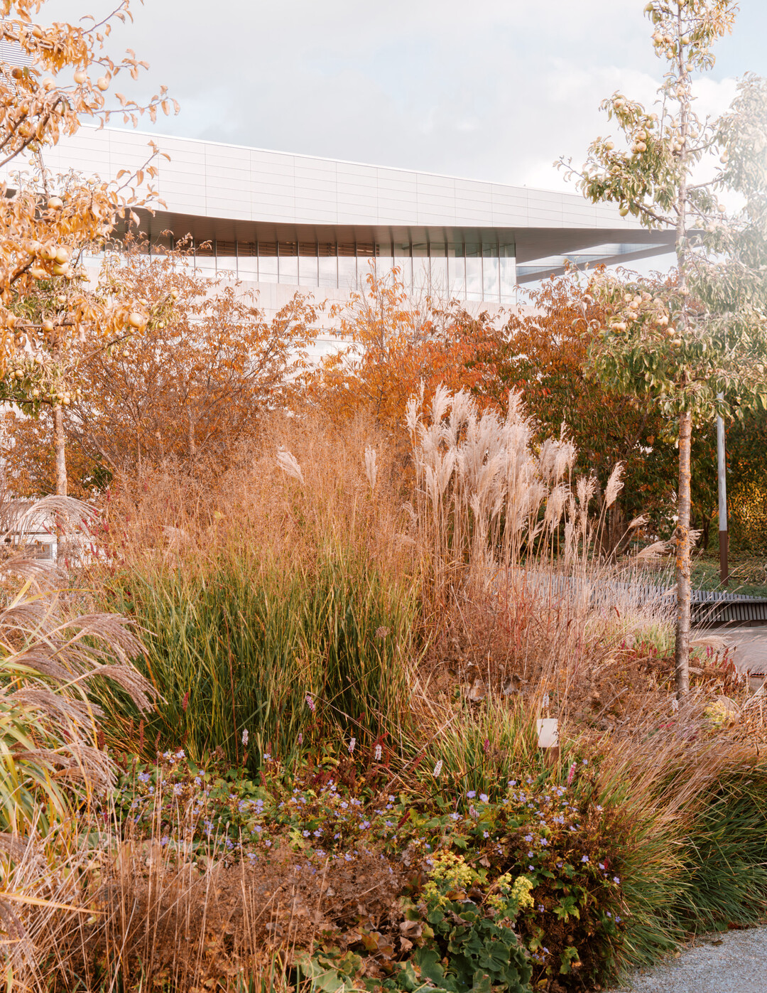 Der Park ist atmosph�rischer Auftakt f�r die angrenzende Oper.