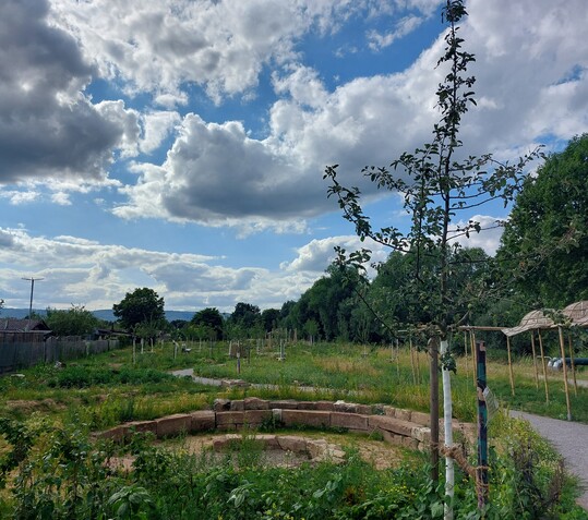 Senkgarten am Wahlebach: Der Ort dient auch der Umweltbildung