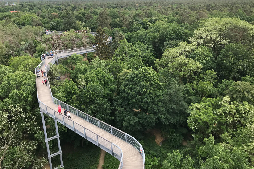 Entscheidend ist nicht Perfektion, sondern Wirkung, Mut und Haltung.