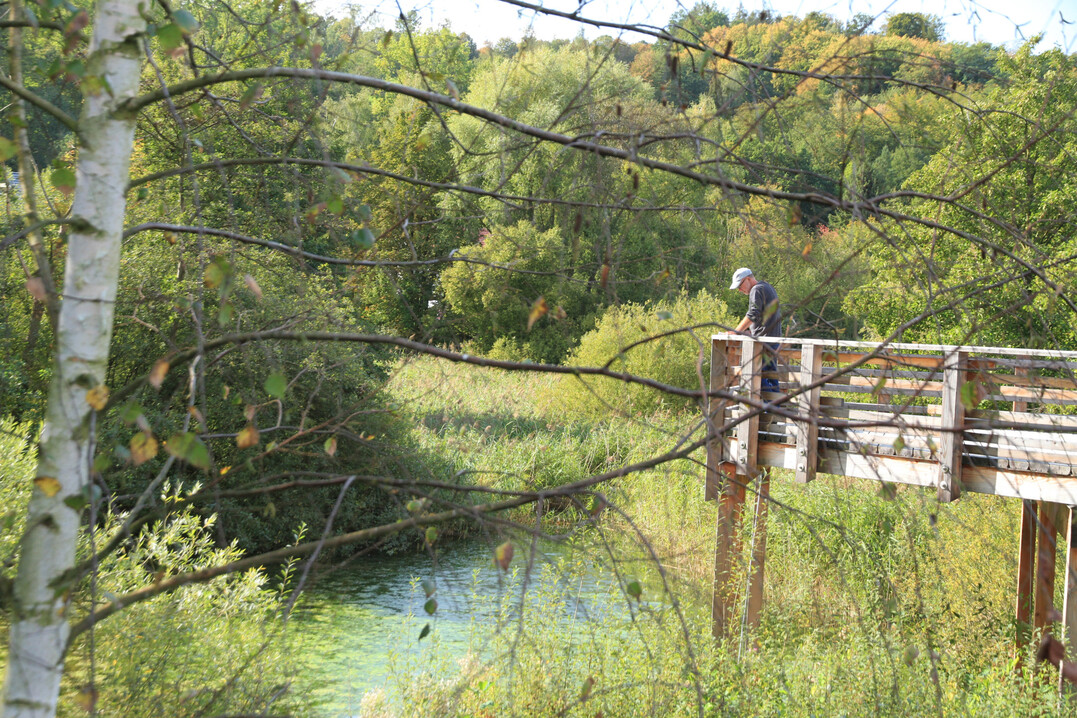 Gesucht sind nicht nur beeindruckende Vorzeigeprojekte, sondern auch anregende Entw�rfe, Interimsstadien, unkonventionelle Experimente und Ideen abseits der Trampelpfade.