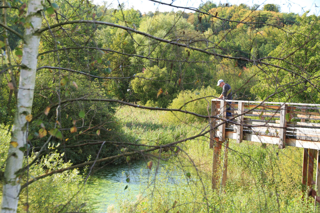 Gesucht sind nicht nur beeindruckende Vorzeigeprojekte, sondern auch anregende Entw�rfe, Interimsstadien, unkonventionelle Experimente und Ideen abseits der Trampelpfade.