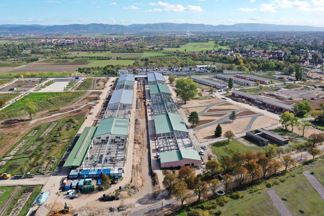 Die U-Halle Mannheim wurde 2023 zum Sieger im Deutschen Nachhaltigkeitspreis gekürt.