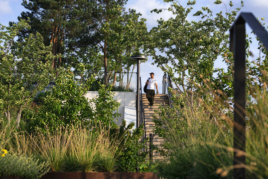 Die Vegetation ist hier teilweise extremer Witterung ausgesetzt: starker Wind und intensive Sonneneinstrahlung, sengende Hitze und bittere K�lte.