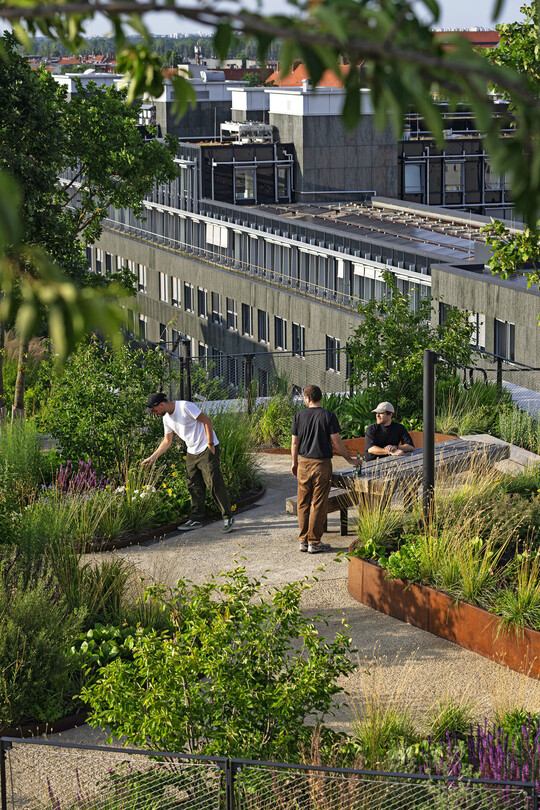Neben den B�umen wurden mehr als 13.000 Unterpflanzungen verwendet, davon rund 6.500 Stauden und Gr�ser.