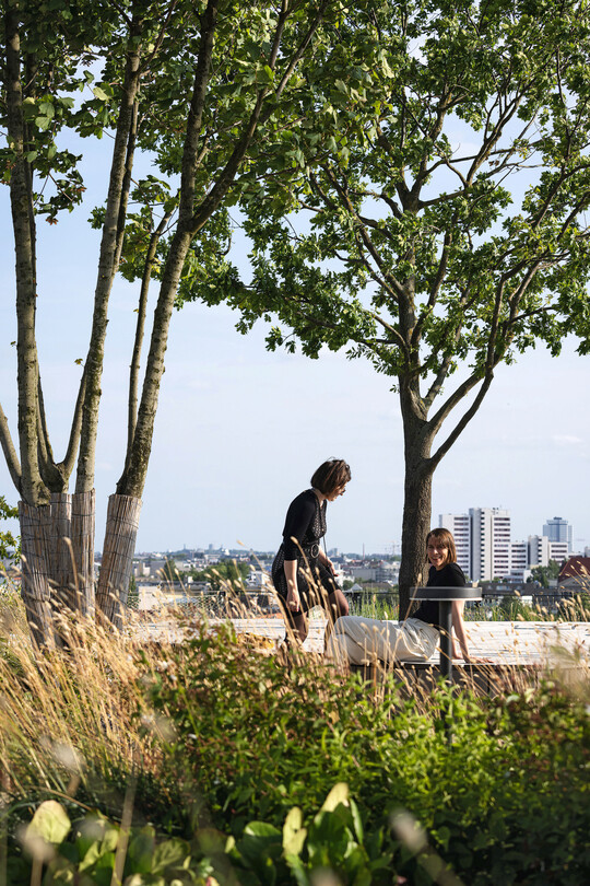 22 B�ume stehen oben auf dem Dachpark. Per Kran wurden die bis zu 12 m hohen Exemplare nach oben transportiert. 