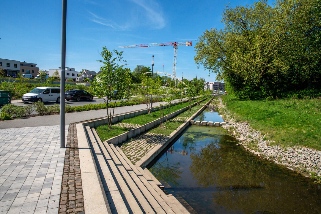 Der Ostpark wird nach dem Schwammstadt-Prinzip realisiert, das Regenwasser an der Oberfl�che �hnlich wie ein Schwamm aufnimmt, speichert und nutzen kann.